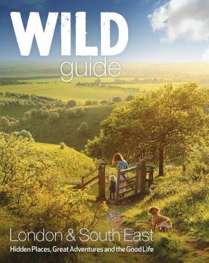 Wild Guide London and South East England: Norfolk to New Forest, Cotswold to Kent & Sussex (Wild Guides)